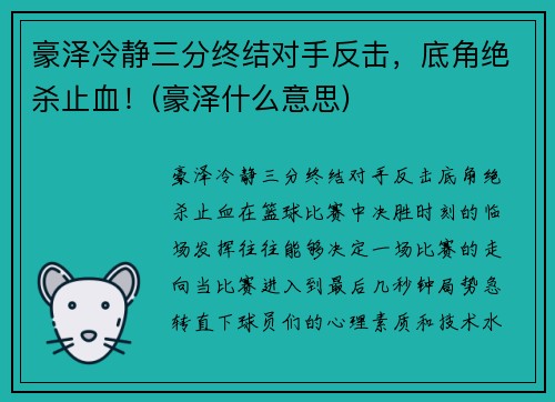 豪泽冷静三分终结对手反击，底角绝杀止血！(豪泽什么意思)